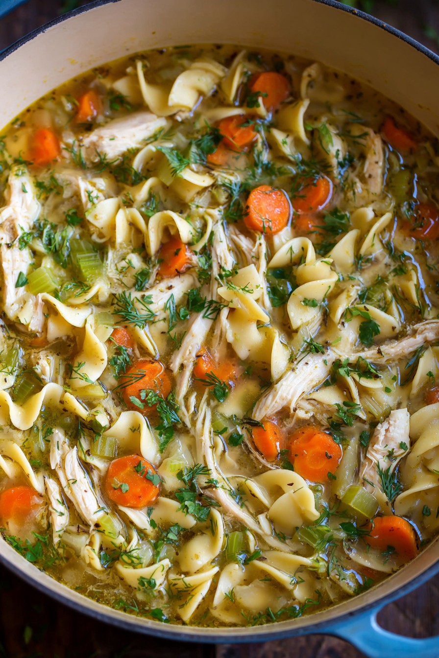 Chicken Noodle Dumplings Recipe