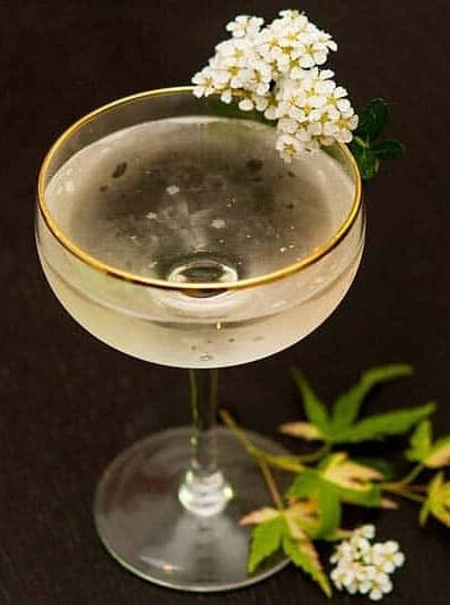 Elegant Elderflower Prosecco Delight