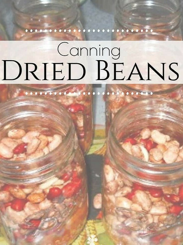 Spiced Bean Canning Recipe Delights