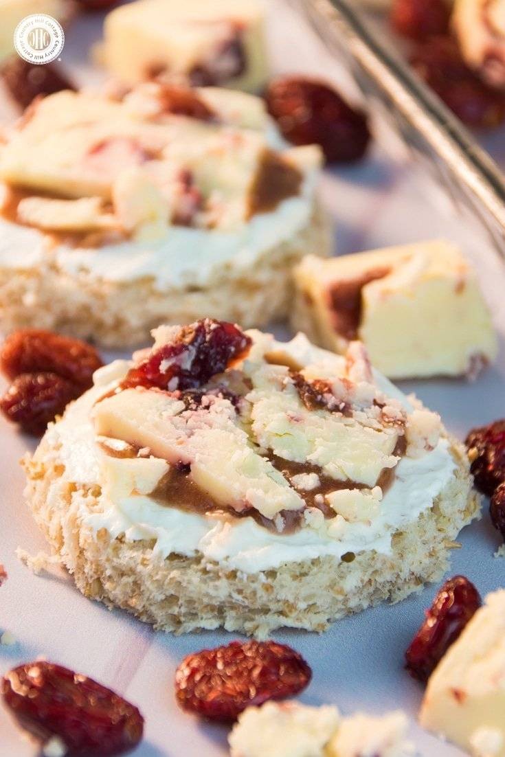 Sweet & Savory Wensleydale Cranberry Toast Bites
