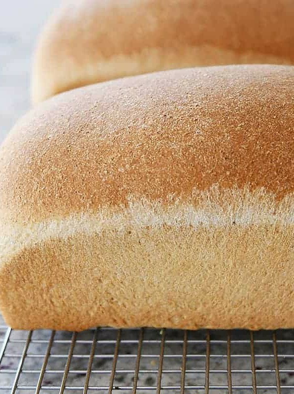 Easy Homemade Whole Wheat Loaf Recipe