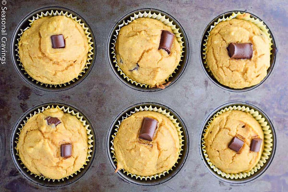 Protein-Packed Pumpkin Treats with Chocolate Chips