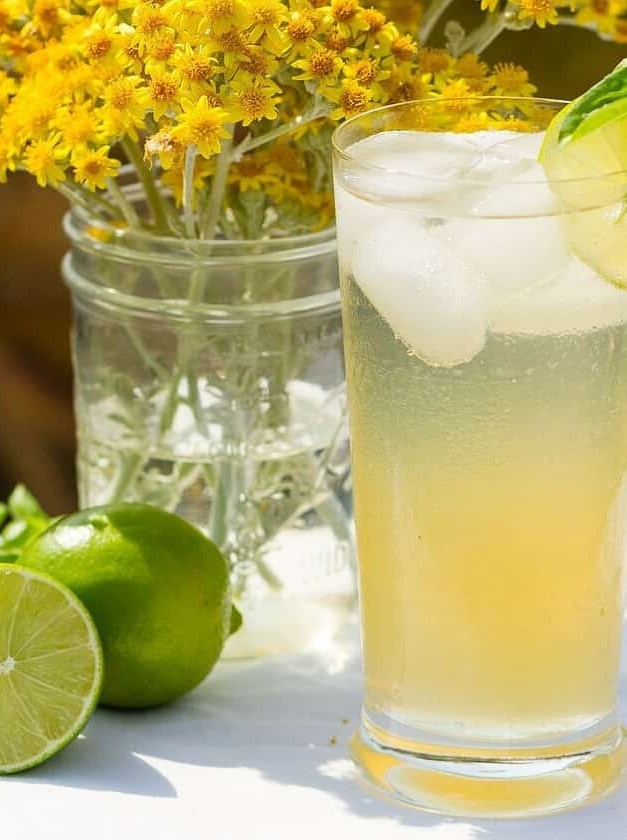 Sparkling Green Tea with Basil & Lime Zing