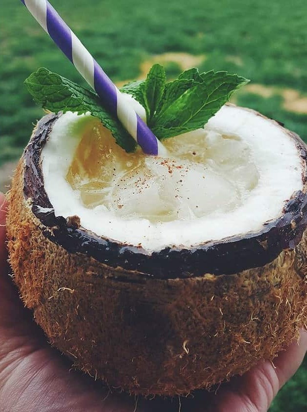 Island Escape in a Coconut Shell