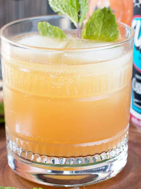 IPA Meets Gin in the Elvis Spritz