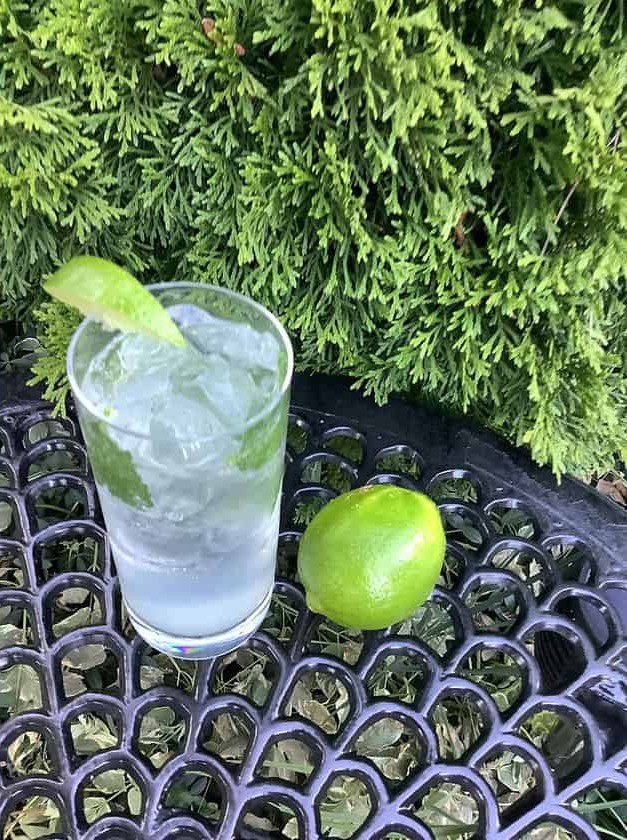 Minty Gin Twist on Classic Mojitos