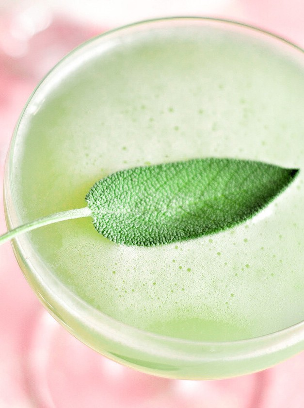 Sage & Green Tea Fruity Elixir