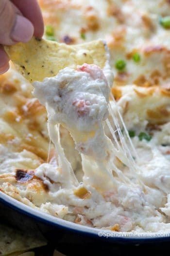 Bold Spiced Shrimp Cheese Delight