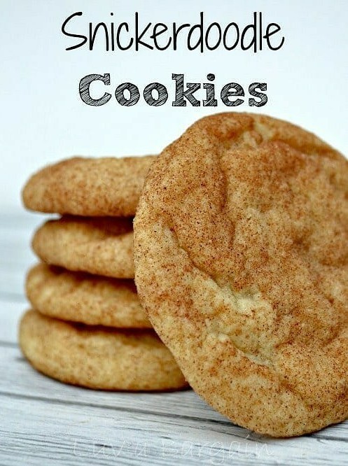 Cinnamon Sugar Classic Snack Cookies