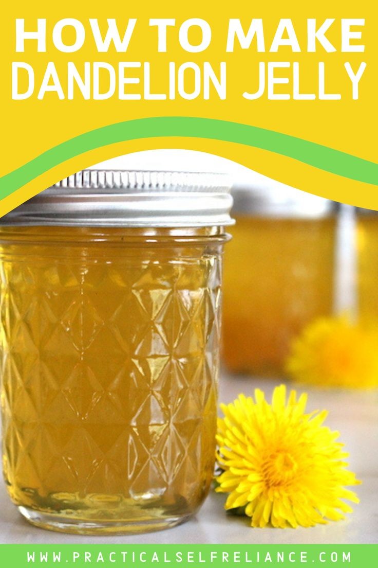 Dandelion Petal Jelly Recipe