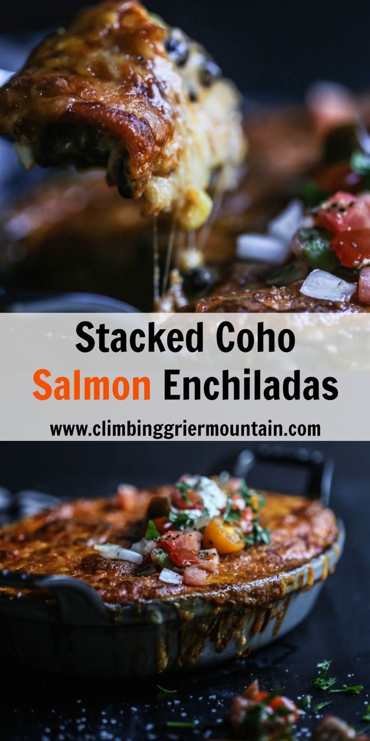 Salmon Enchilada Masterpiece in Every Bite