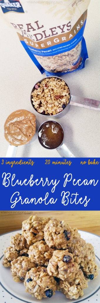 Blueberry Pecan Granola Bites