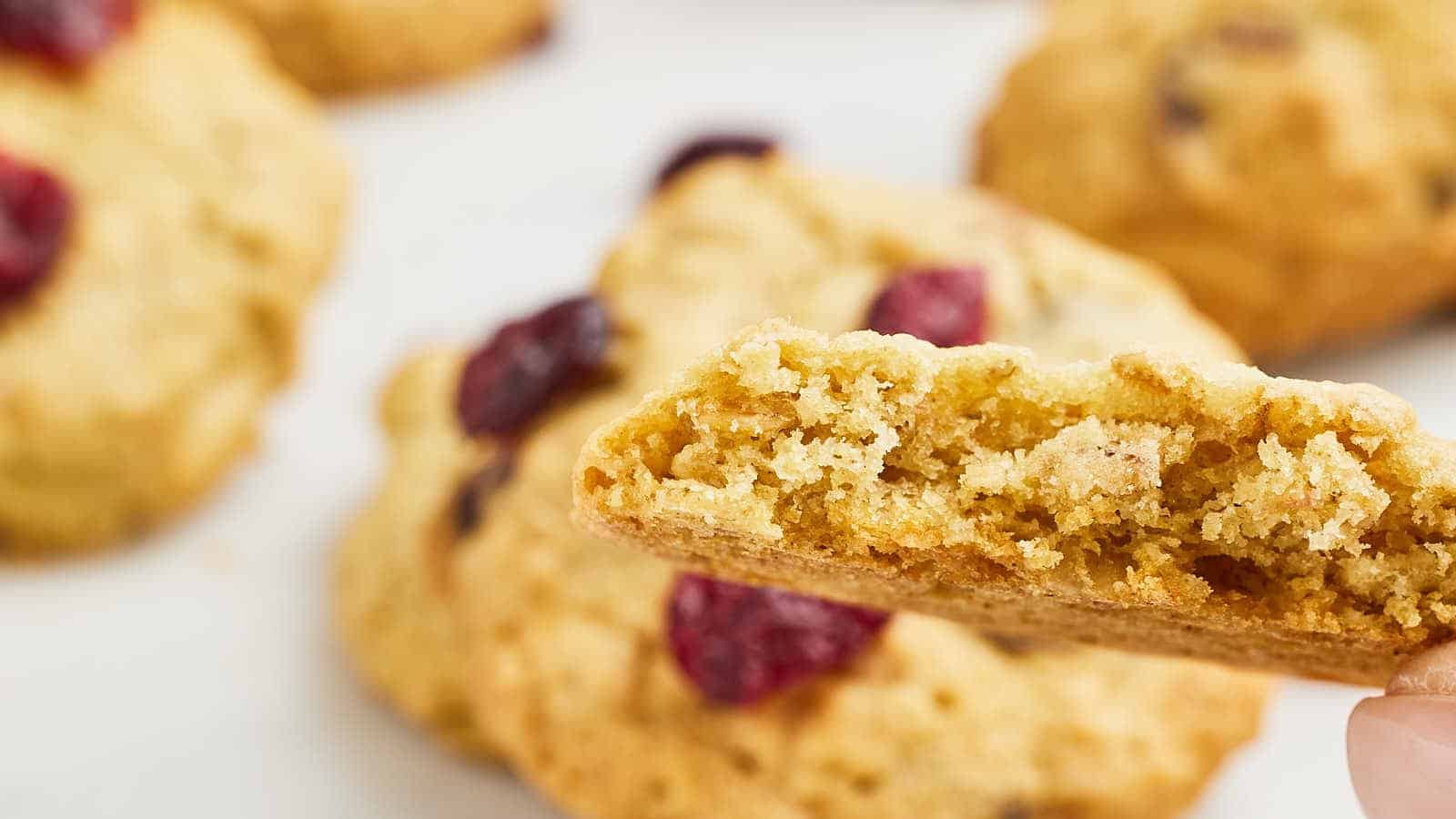 Sweet Cranberry Oat Bites