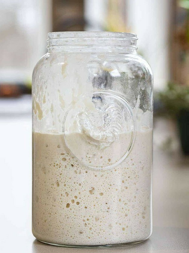 Easy Sourdough Starter Creation in Minutes