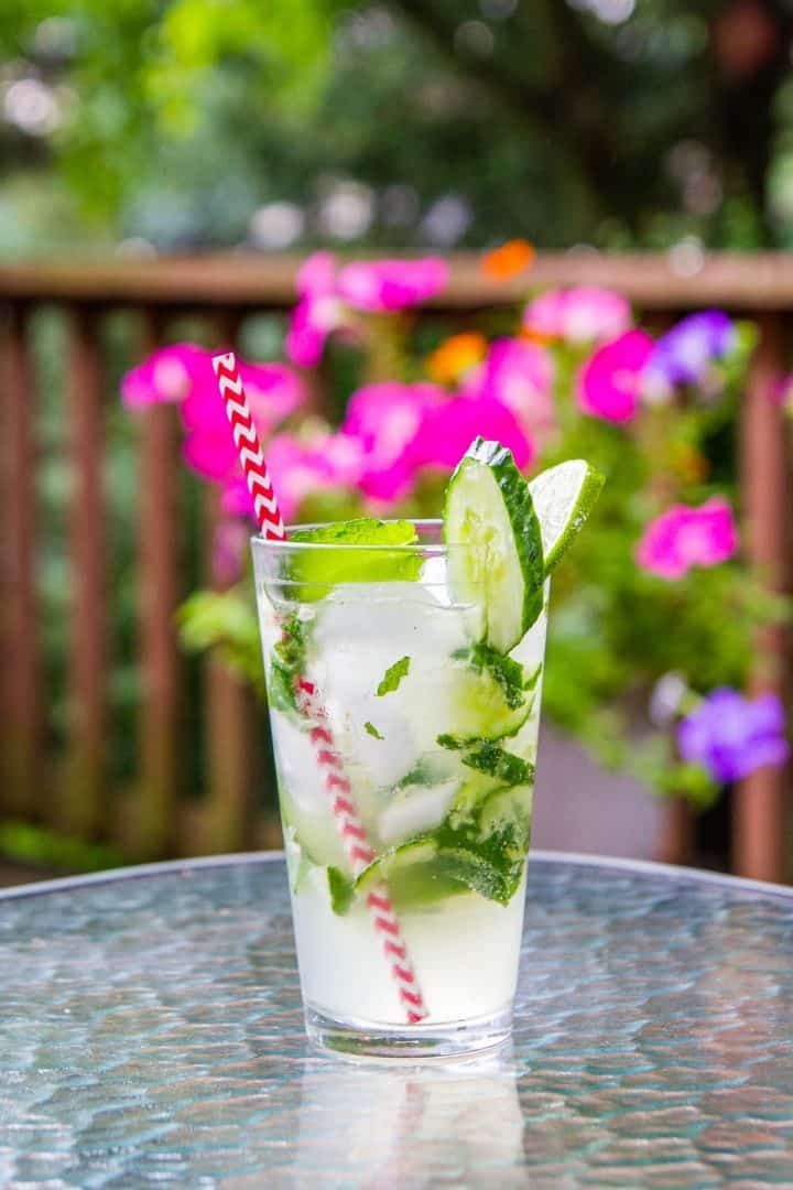 Refreshing Watermelon Mint Spritzer