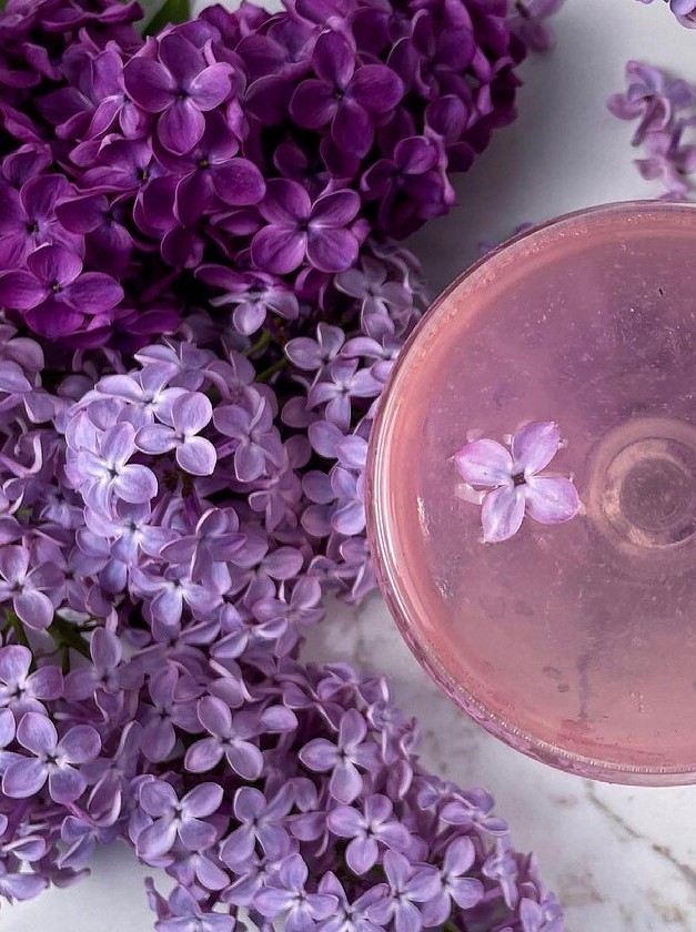 Lilac Blooms in the French Spritz