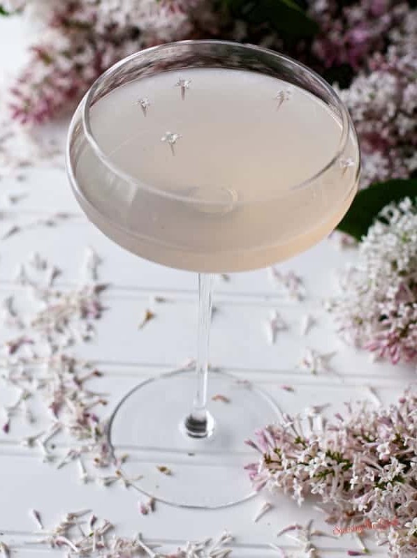 Lilac Blooms in the Bee