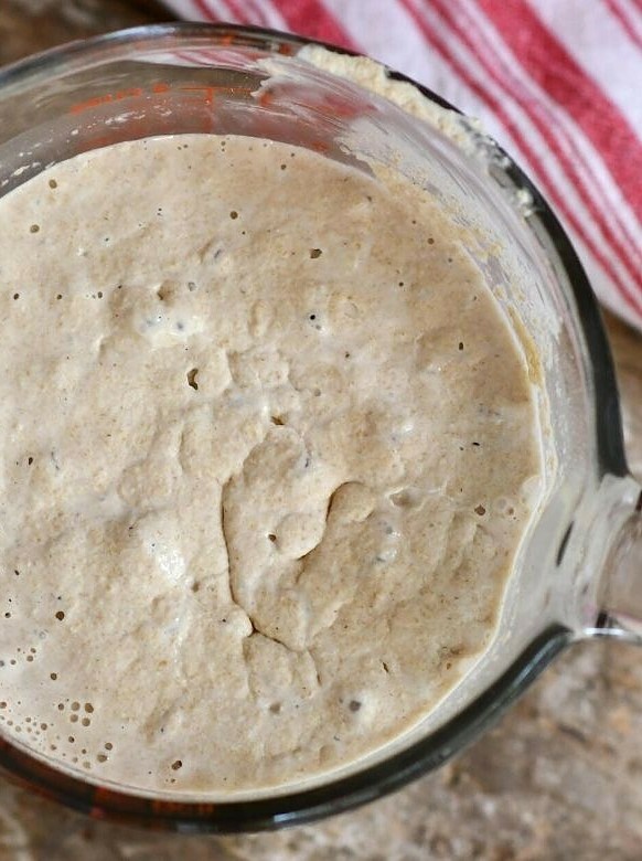Instant Sourdough Starter with Kefir or Kombucha