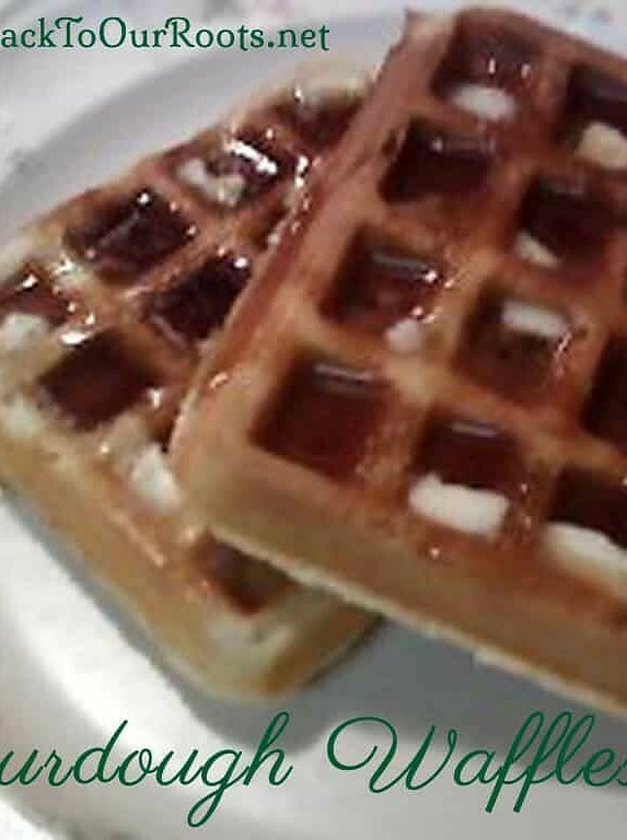 Fermented Delight: Tangy Sourdough Waffle Recipe