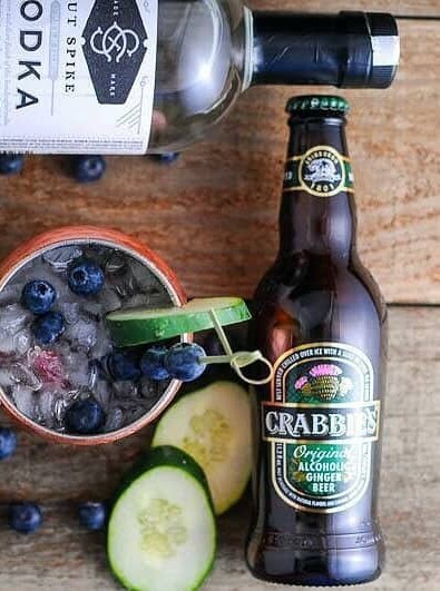 Blueberry & Cucumber Ginger Vodka Spritzer
