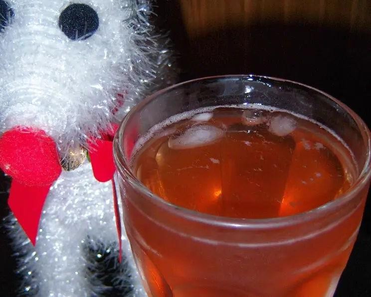 Apple Cinnamon Cooler