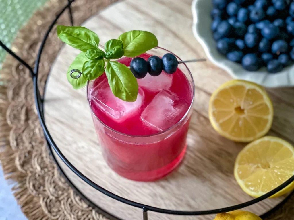 Blueberry Basil Spritzer