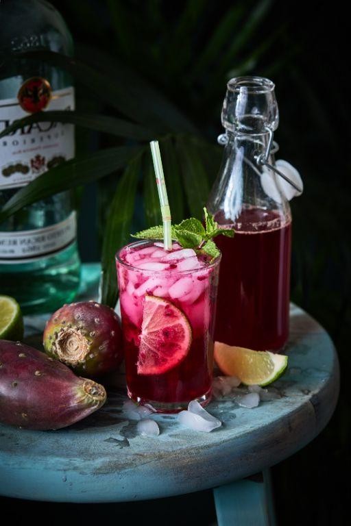 Cactus Pear and Mint Mocktail