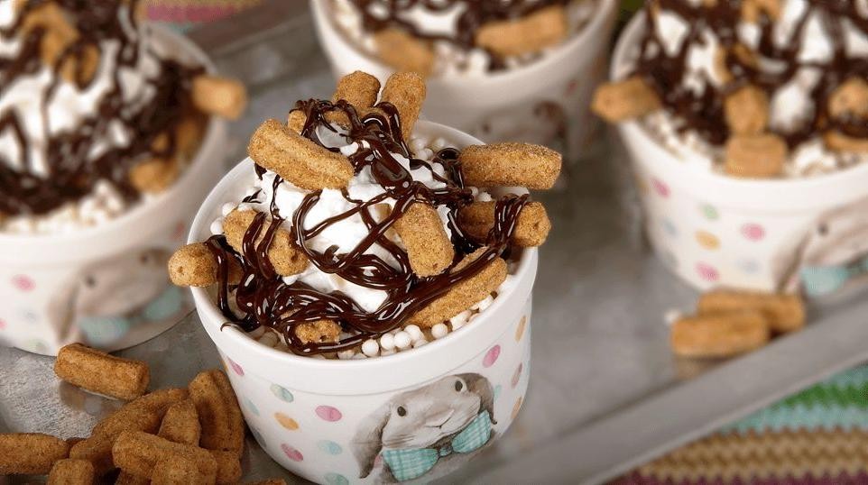 Chocolate Churro Frozen Yogurt