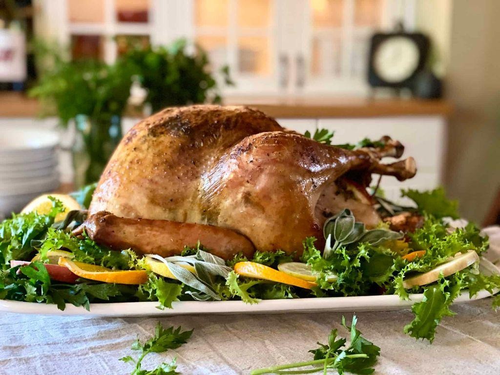 Citrus and Sage Brined Turkey Delight
