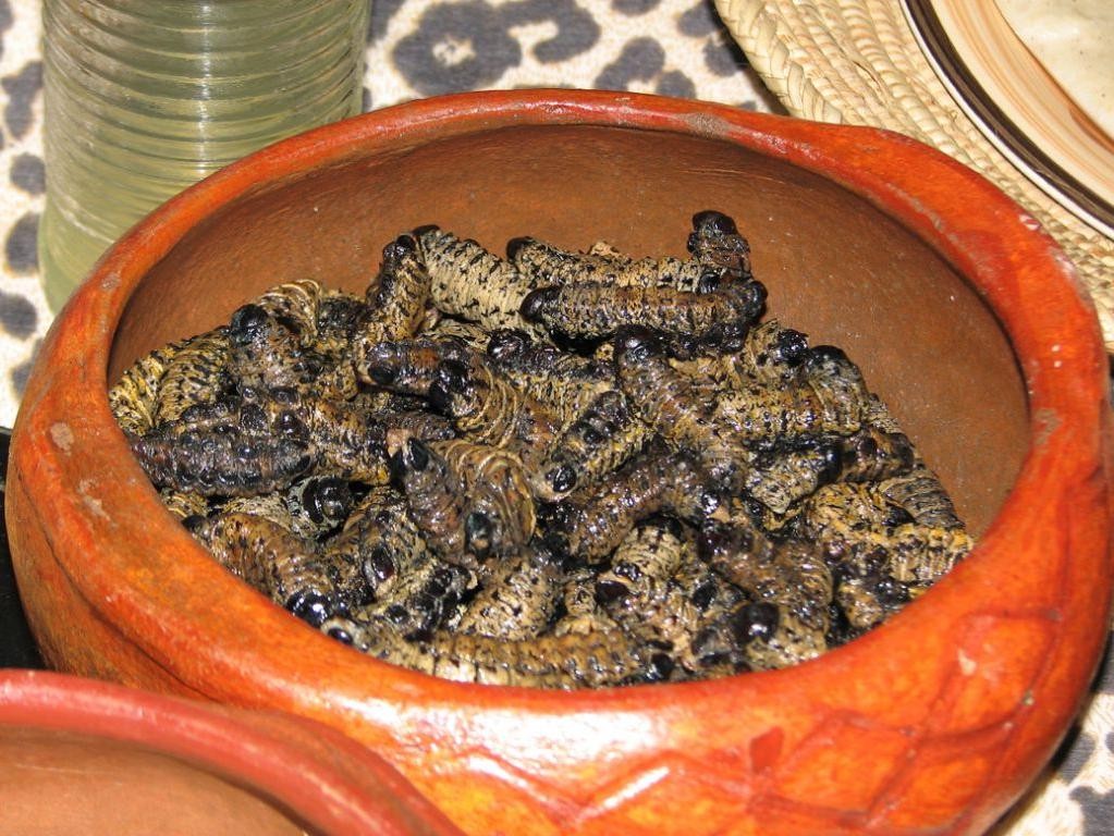 Congolese Chilombo with Caterpillars