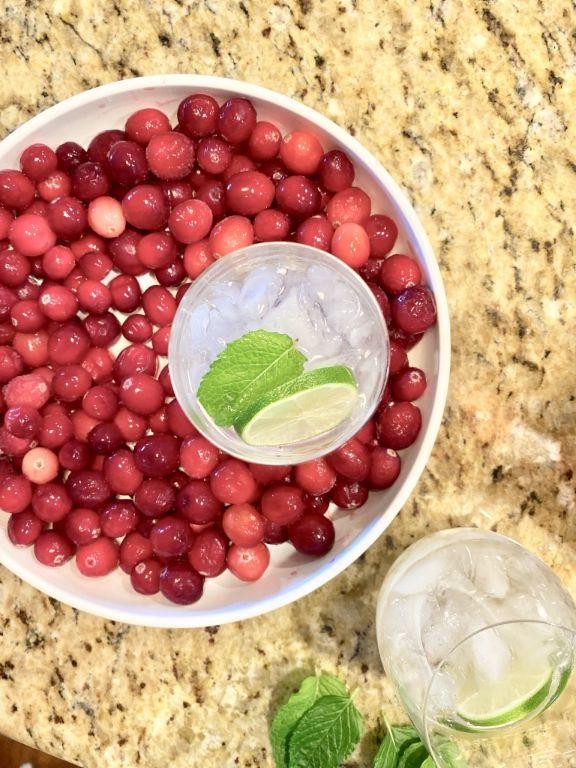 Cranberry Mint Delight