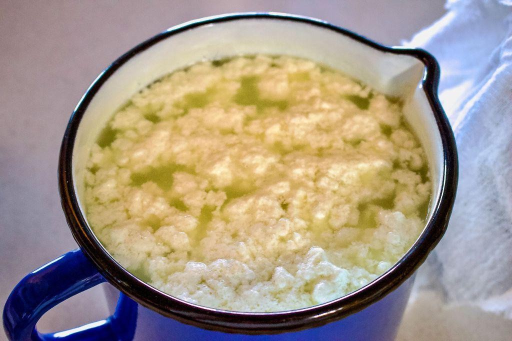 Curdled Milk Cheese Spread