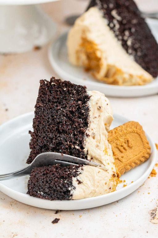 Decadent Biscoff Chocolate Cake