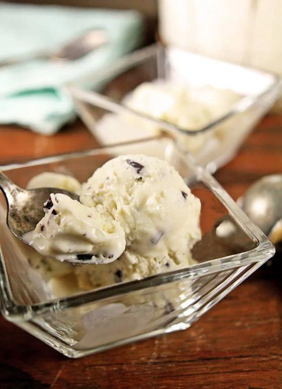 Decadent Coconut and Chocolate Chip Ice Cream