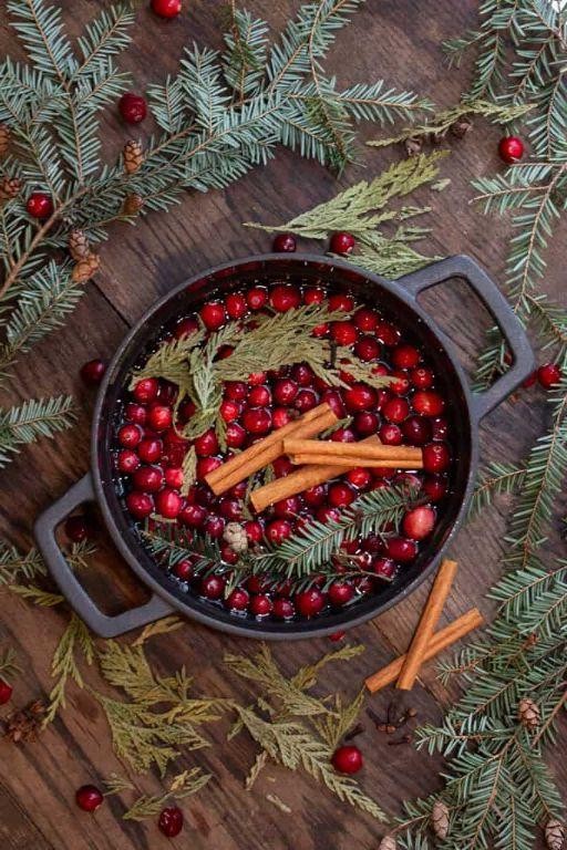 Fresh Pine and Cedar Simmer Pot