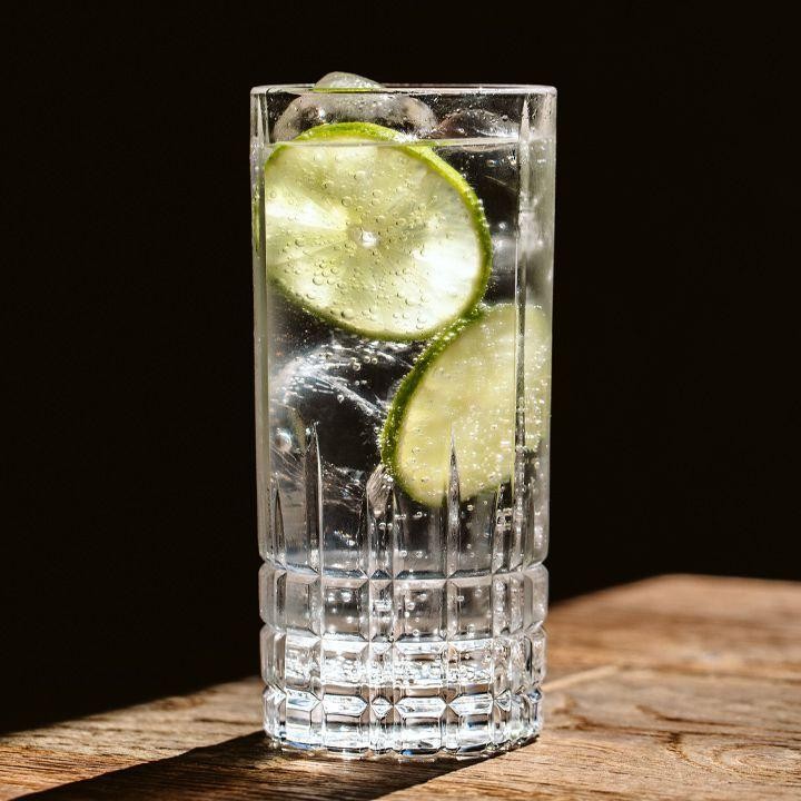 Gin and Tonic Highball
