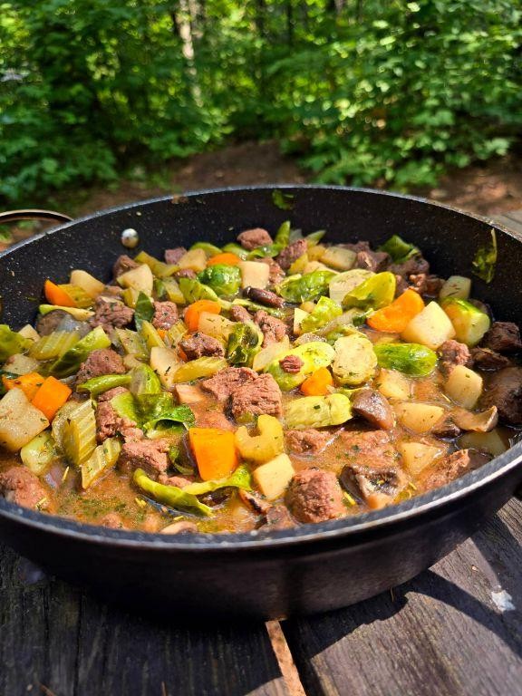 Hearty Campfire Stew