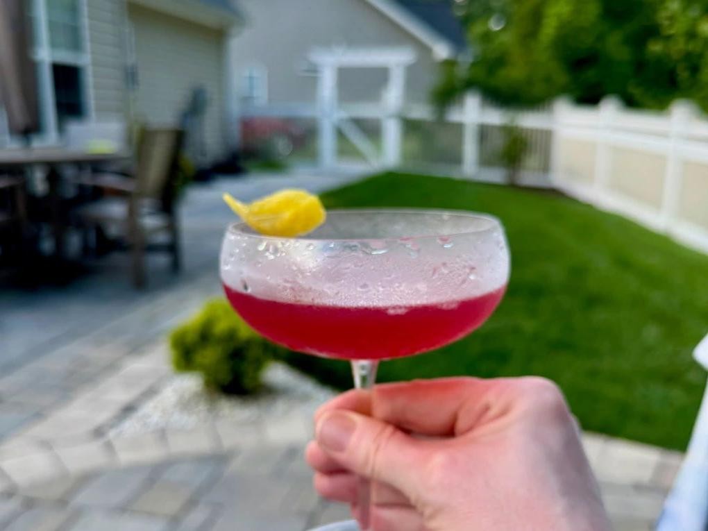 Hibiscus Blossom Bee