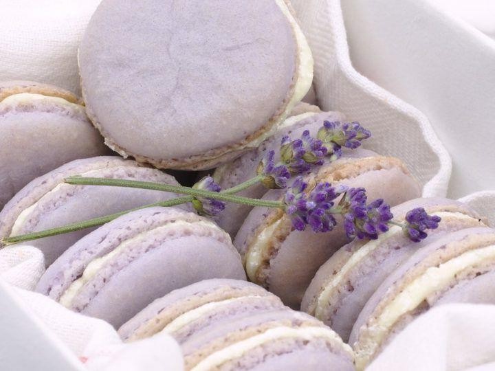 Lavender Honey Lemon Macarons
