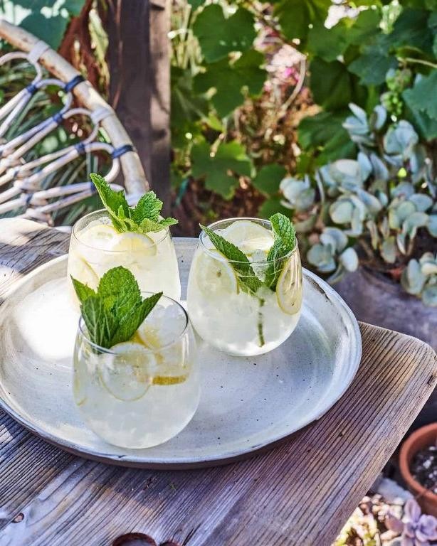 Low-Sugar White Wine Spritzer