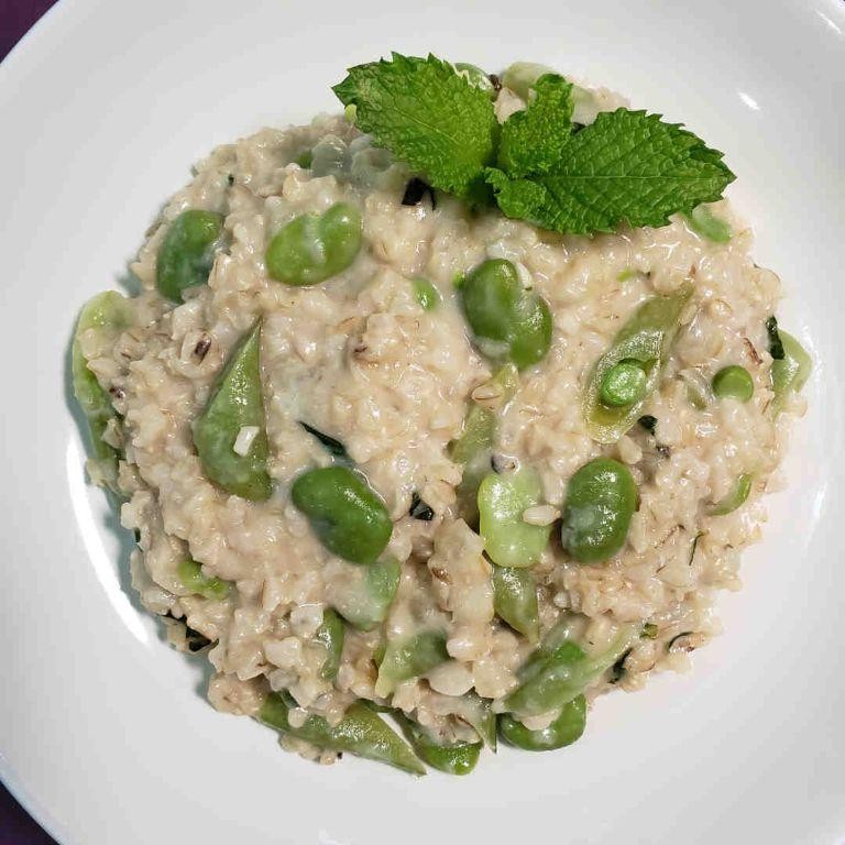 Minted Fava Bean Risotto