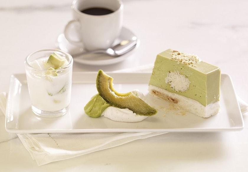 Modern Avocado and Lime Terrine