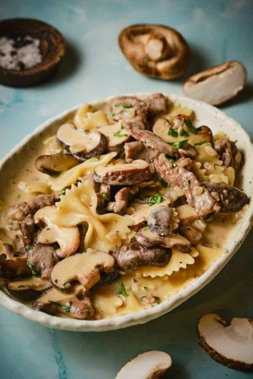 Mushroom and Bow Tie Stroganoff