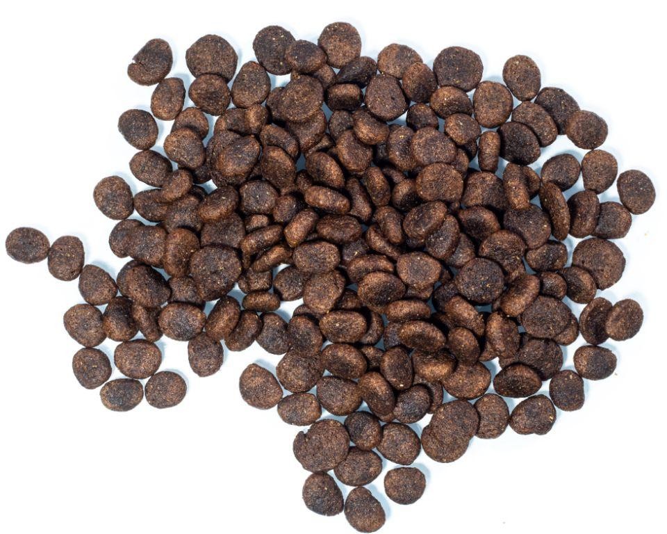 Rabbit and Carrot Grain-Free Formula