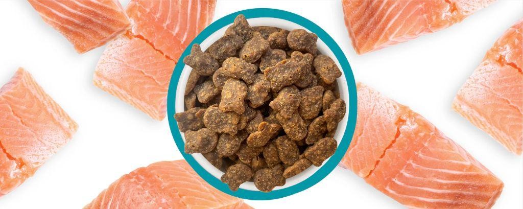 Salmon & Catnip Crunchies