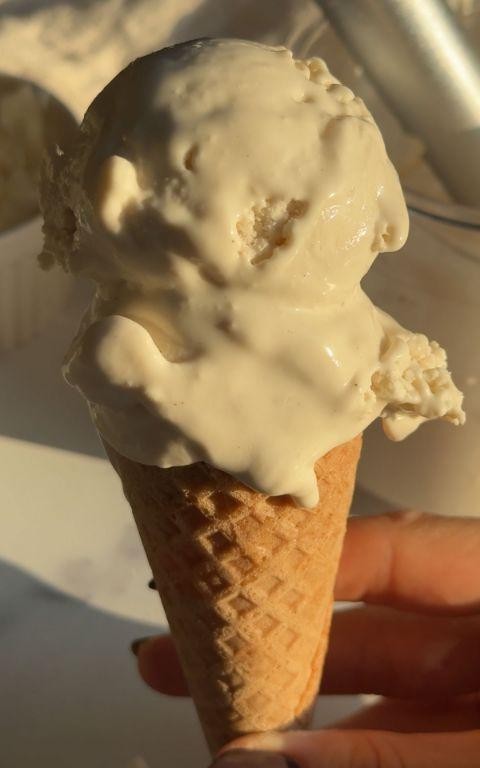 Tropical Coconut Condensed Milk Ice Cream