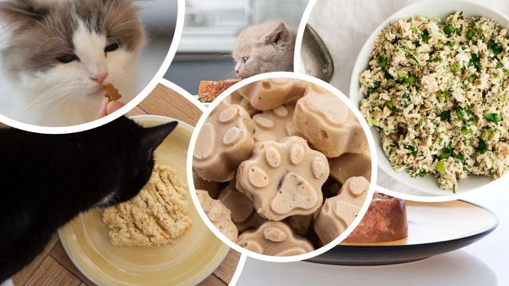 Tuna Delight Vet-Approved Cat Treats