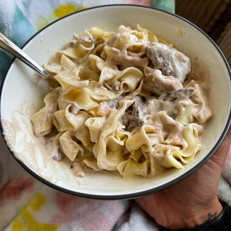 Venison Stroganoff with Egg Noodles