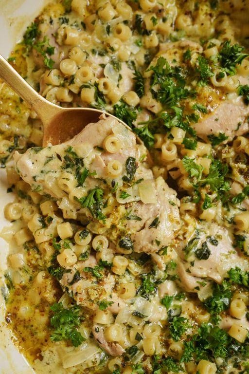 Herbed Chicken Ditalini with Garlic Sauce