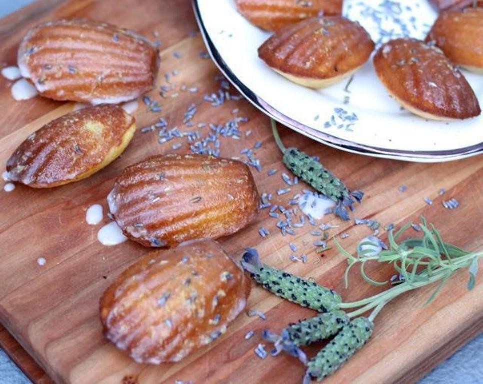 Honey Lavender Madeleines